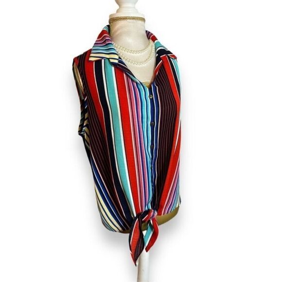 Perseption Womens Blue Striped Sleeveless Collared‎ VNeck Button Top sz L Beachy - Picture 2 of 4